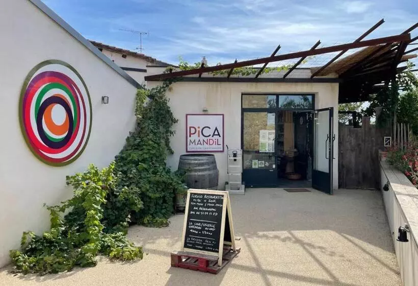 Gîte Le Palmier   Perfectly Located Cosy Studio With Private Garden