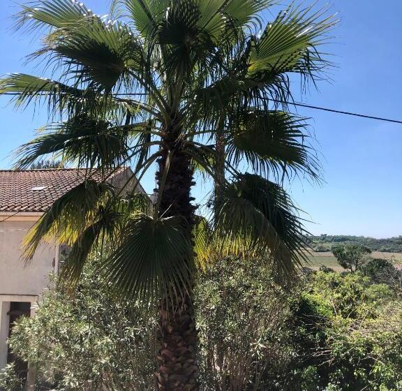 Gîte Le Palmier   Perfectly Located Cosy Studio With Private Garden