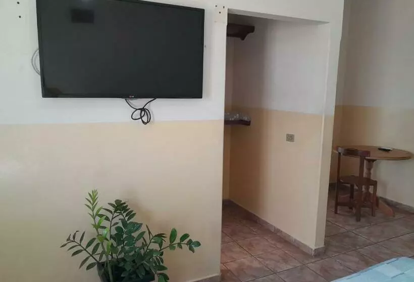 هتل Novo