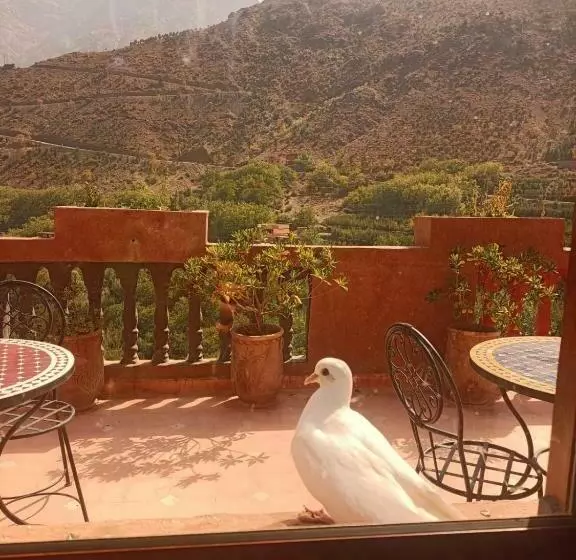 Majatalo Riad Atlas Sultana