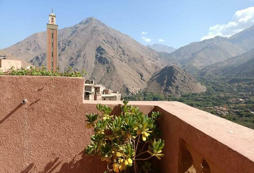 Pension (Hôtel basse catégorie) Riad Atlas Sultana
