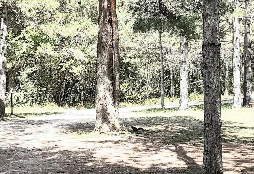 Apartments Nova Lika