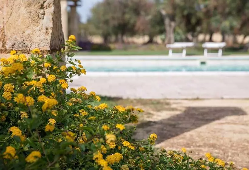 ベッドアンドブレックファースト Masseria Saietti