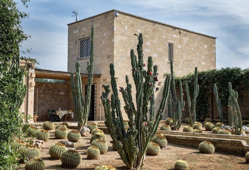 住宿加早餐  Masseria Saietti