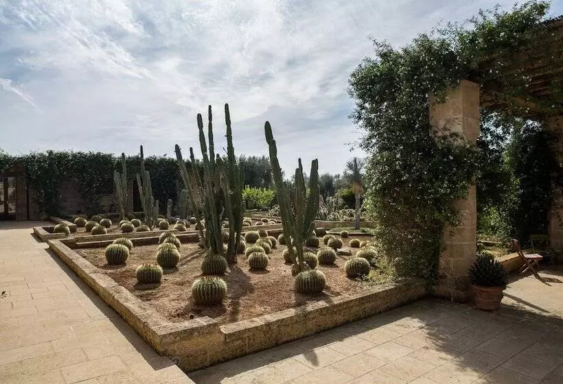 ベッドアンドブレックファースト Masseria Saietti