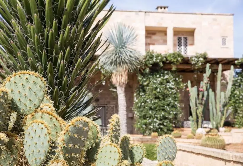 ベッドアンドブレックファースト Masseria Saietti