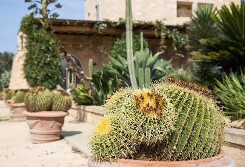 ベッドアンドブレックファースト Masseria Saietti