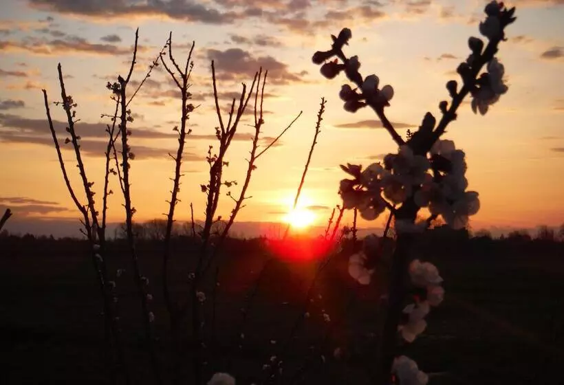 هتل Antico Borgo Torricella