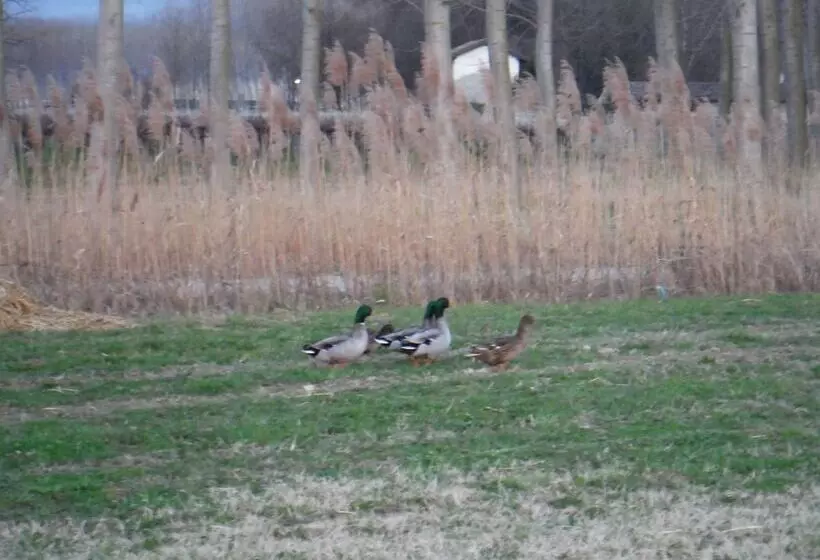 هتل Antico Borgo Torricella