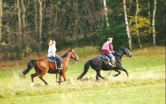 Bauernhof Andreas Wagner