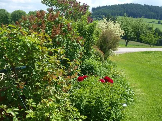 Bauernhof Katzmaier