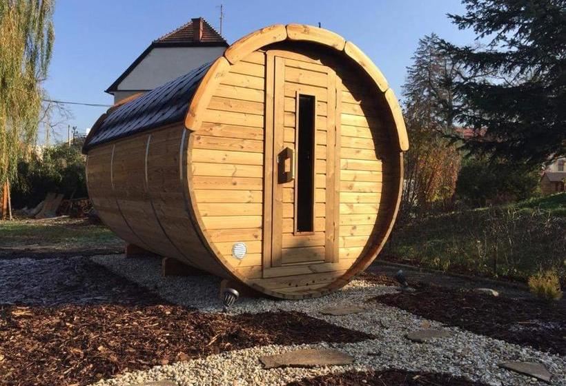 ホテル Mlýn Velehrad