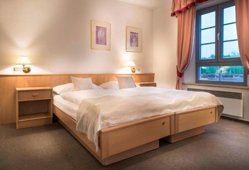 ホテル Mlýn Velehrad