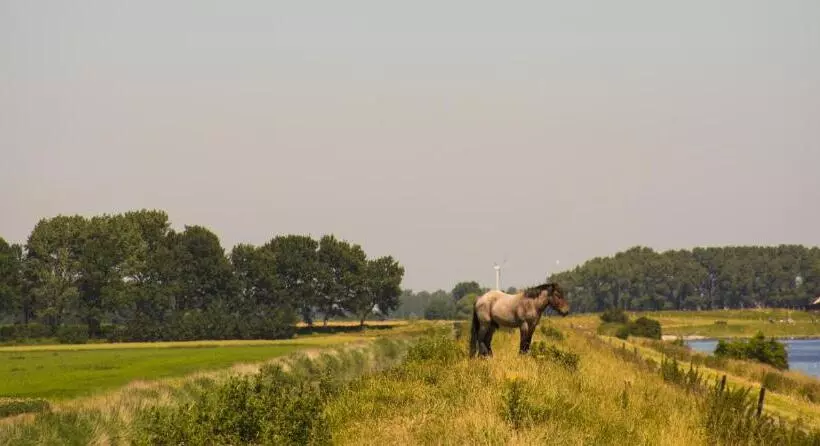 酒店 Residentie Oosterschelde