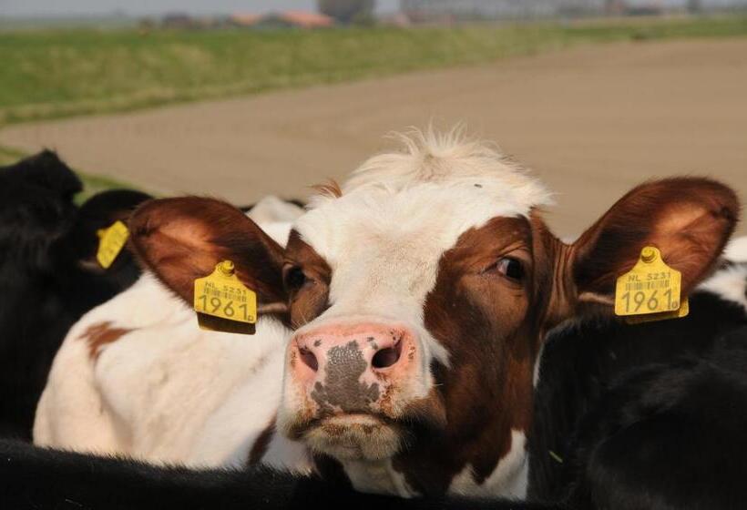 호텔 Residentie Oosterschelde