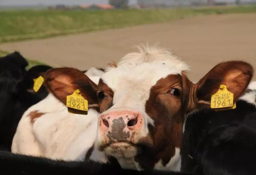 酒店 Residentie Oosterschelde