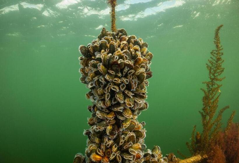 호텔 Residentie Oosterschelde