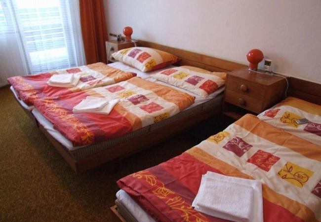 ホテル Petr Bezruc