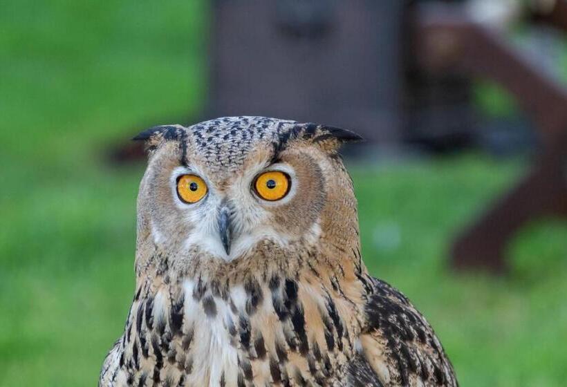 호텔 Quinta Da Foz