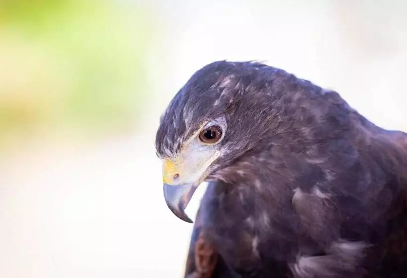 Отель Quinta Da Foz