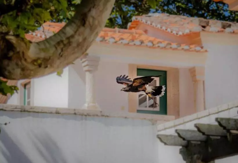 Отель Quinta Da Foz