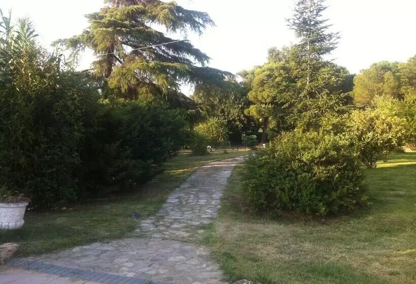 Отель San Francesco Terme