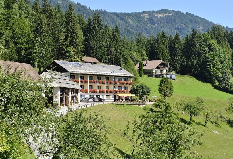 膳宿费 Bed&breakfast Lausegger