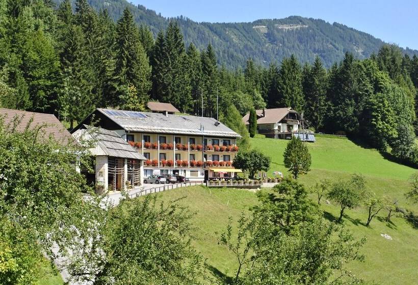 膳宿费 Bed&breakfast Lausegger