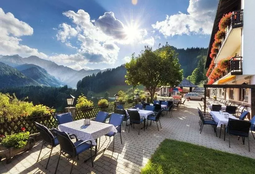 膳宿费 Bed&breakfast Lausegger