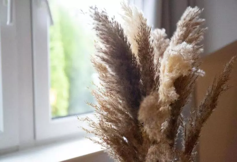 Ferienwohnung Mitten In Saarburg