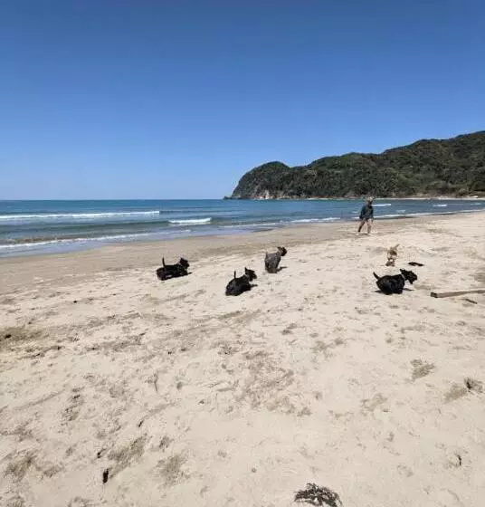 ペンション ワンコと泊まるジャスミンクリーク