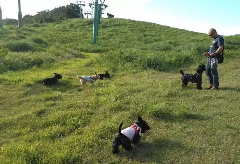 ペンション ワンコと泊まるジャスミンクリーク