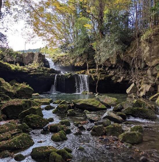 펜션 ワンコと泊まるジャスミンクリーク