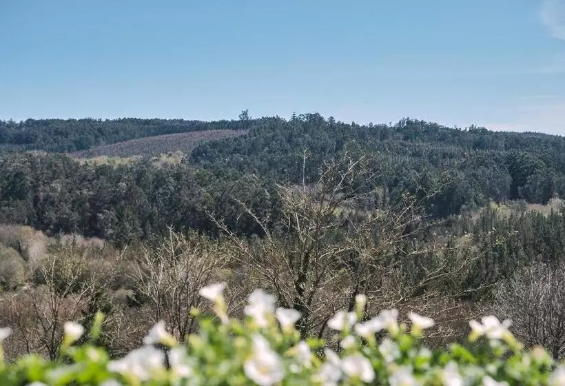 Pensión A Solaina 3