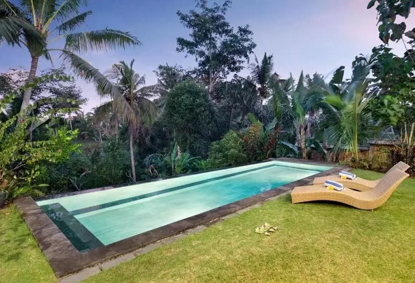 Villa With Amazing Rice Field View Between Canggu And Ubud