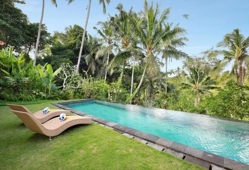 Villa With Amazing Rice Field View Between Canggu And Ubud