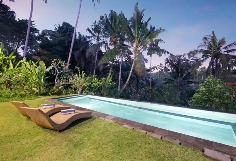 Villa With Amazing Rice Field View Between Canggu And Ubud