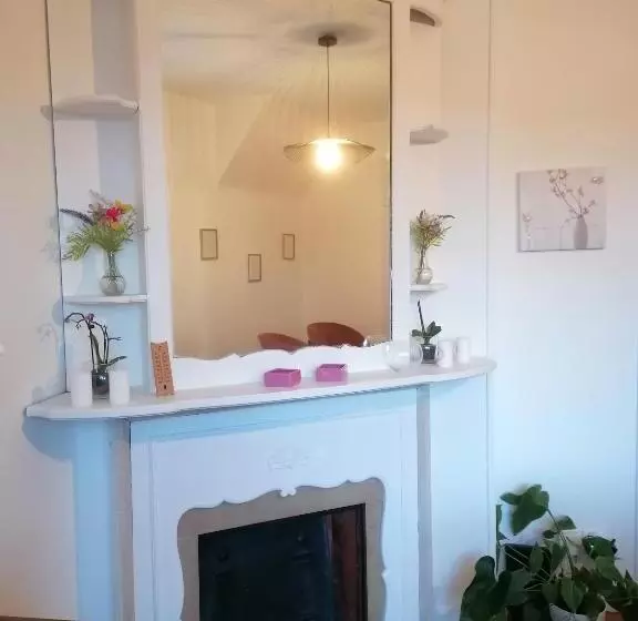 Appartement 85 M2 Centre Ville Entièrement Rénové