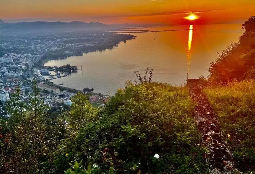 Stadtjuwel Mit Pfänderblick