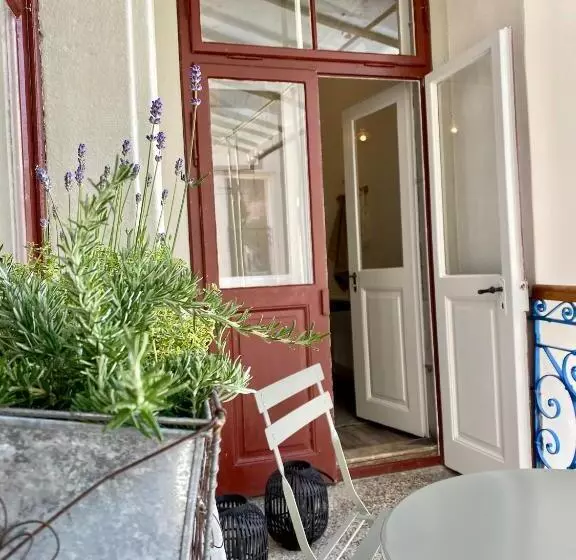 Stadtjuwel Mit Pfänderblick