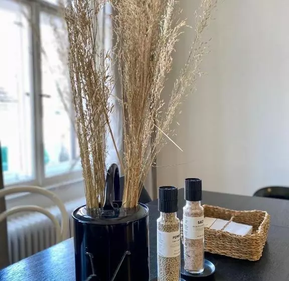 Stadtjuwel Mit Pfänderblick