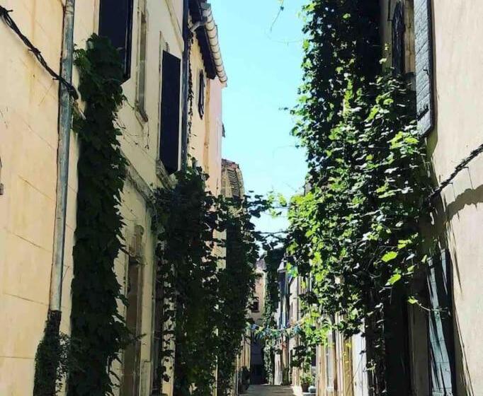 Le Cocon Des Arènes Arles Centre