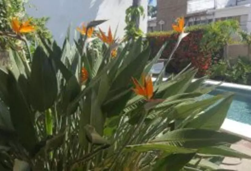 Apartmento Con Alberca A 50 Mt Del Mar La Licha