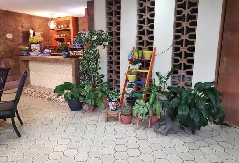 Apartmento Con Alberca A 50 Mt Del Mar La Licha