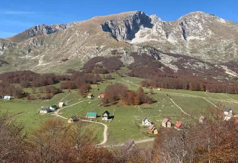 Blackberry House žabljak