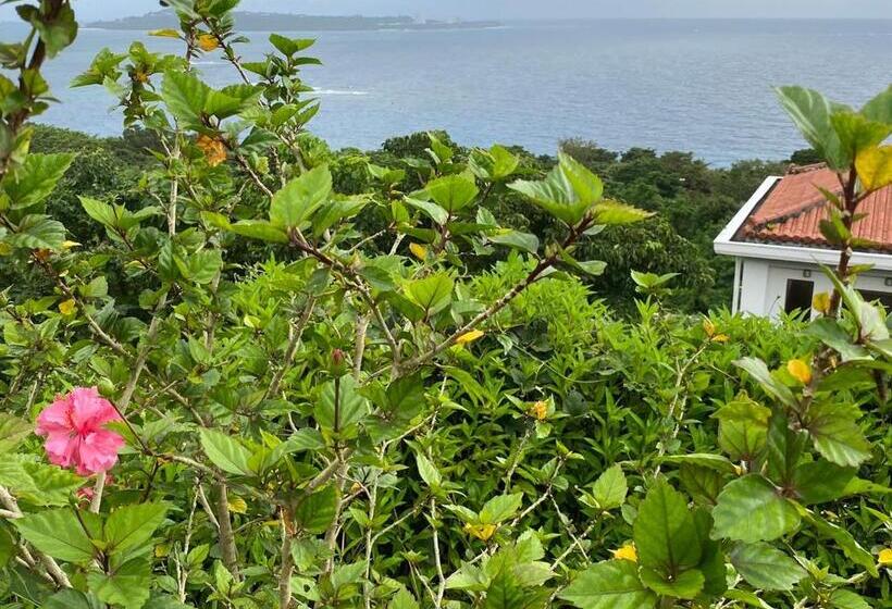 オーシャンテラス