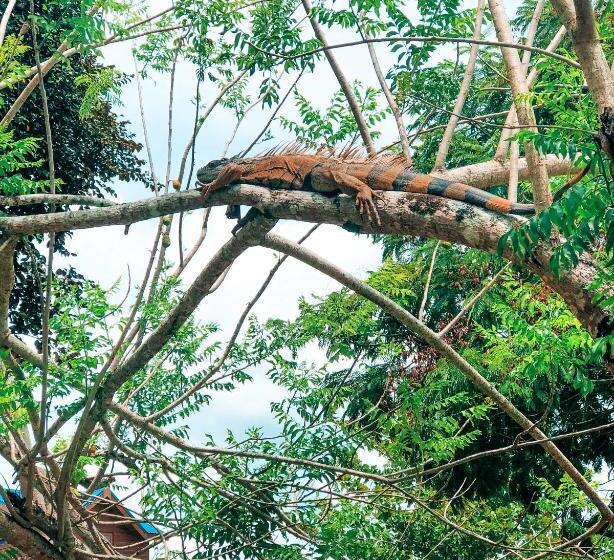 Hostel Mana Kai Camping & Cabins