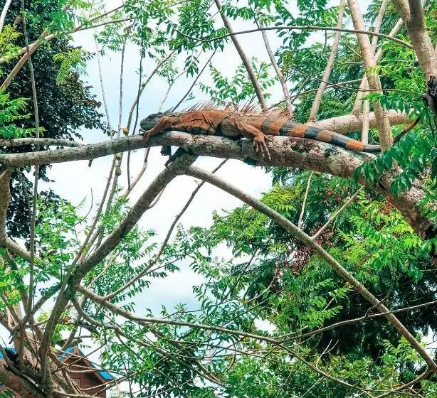 Retkeilymaja Mana Kai Camping & Cabins