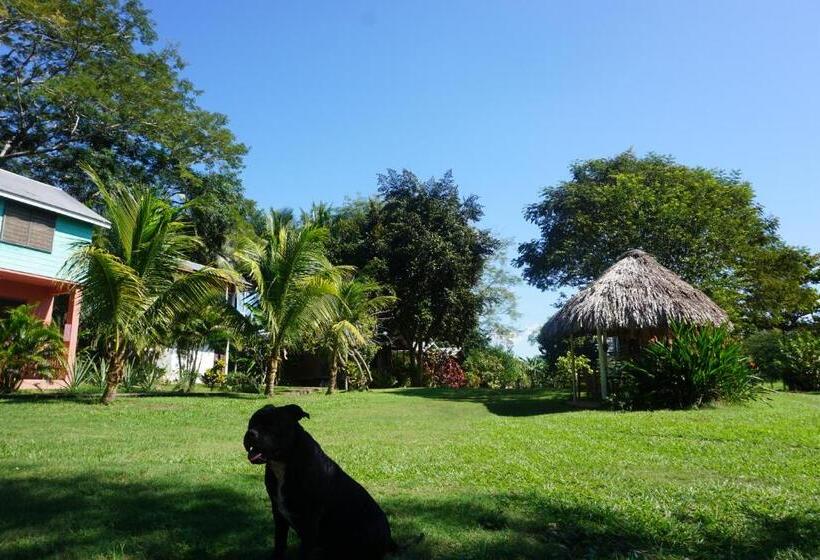 Hostel Mana Kai Camping & Cabins