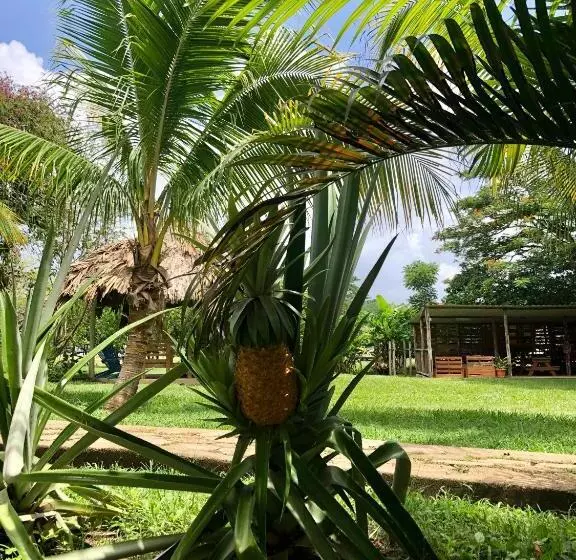 Retkeilymaja Mana Kai Camping & Cabins